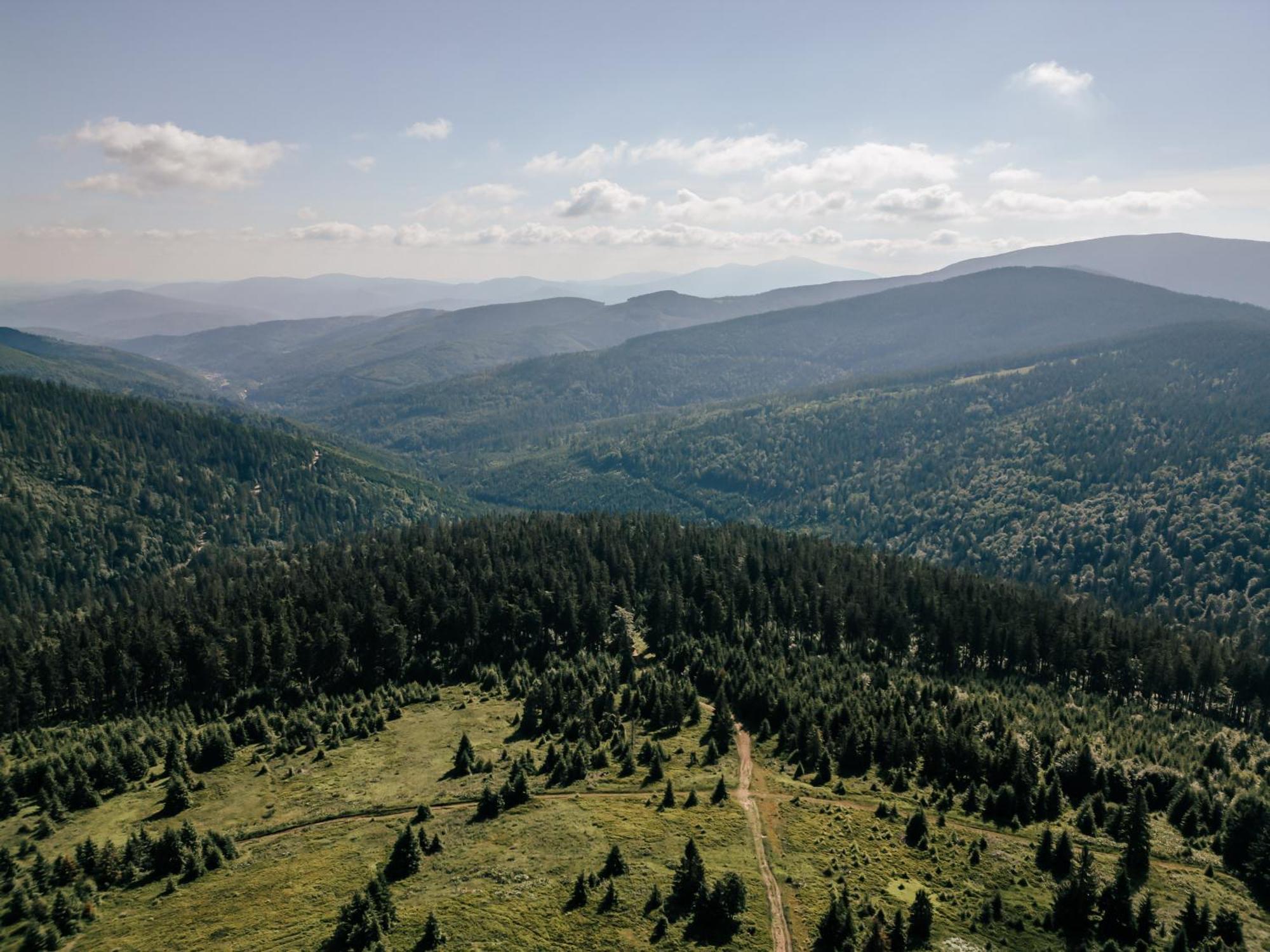 Sen I Wino, Domki Na Winnicy Ze Strefa Spa Żywiec Esterno foto