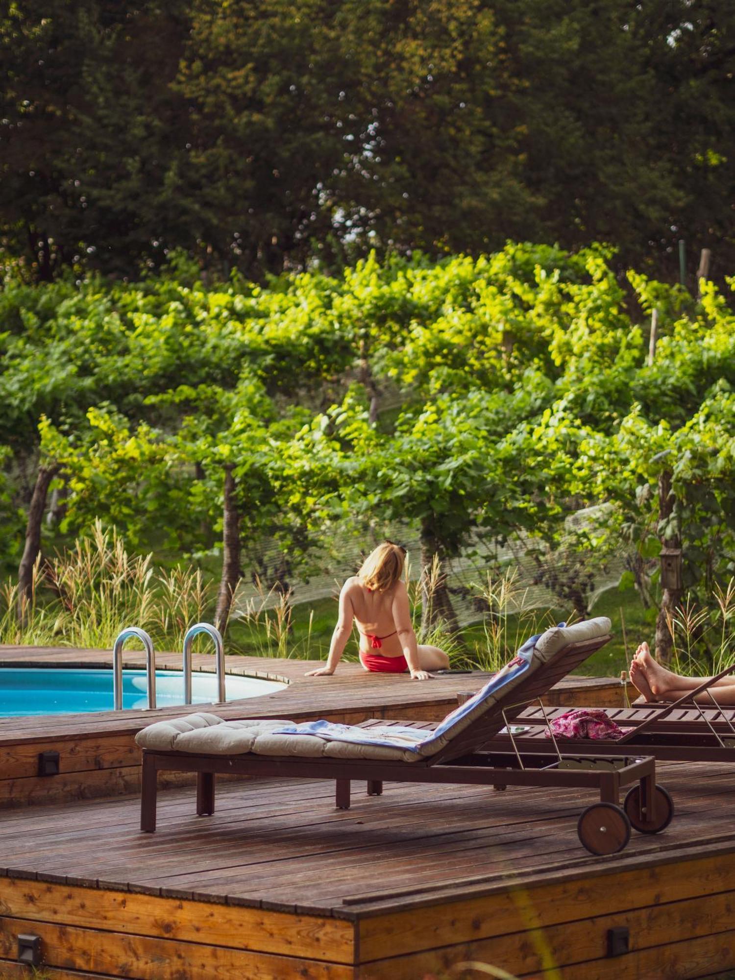 Sen I Wino, Domki Na Winnicy Ze Strefa Spa Żywiec Esterno foto