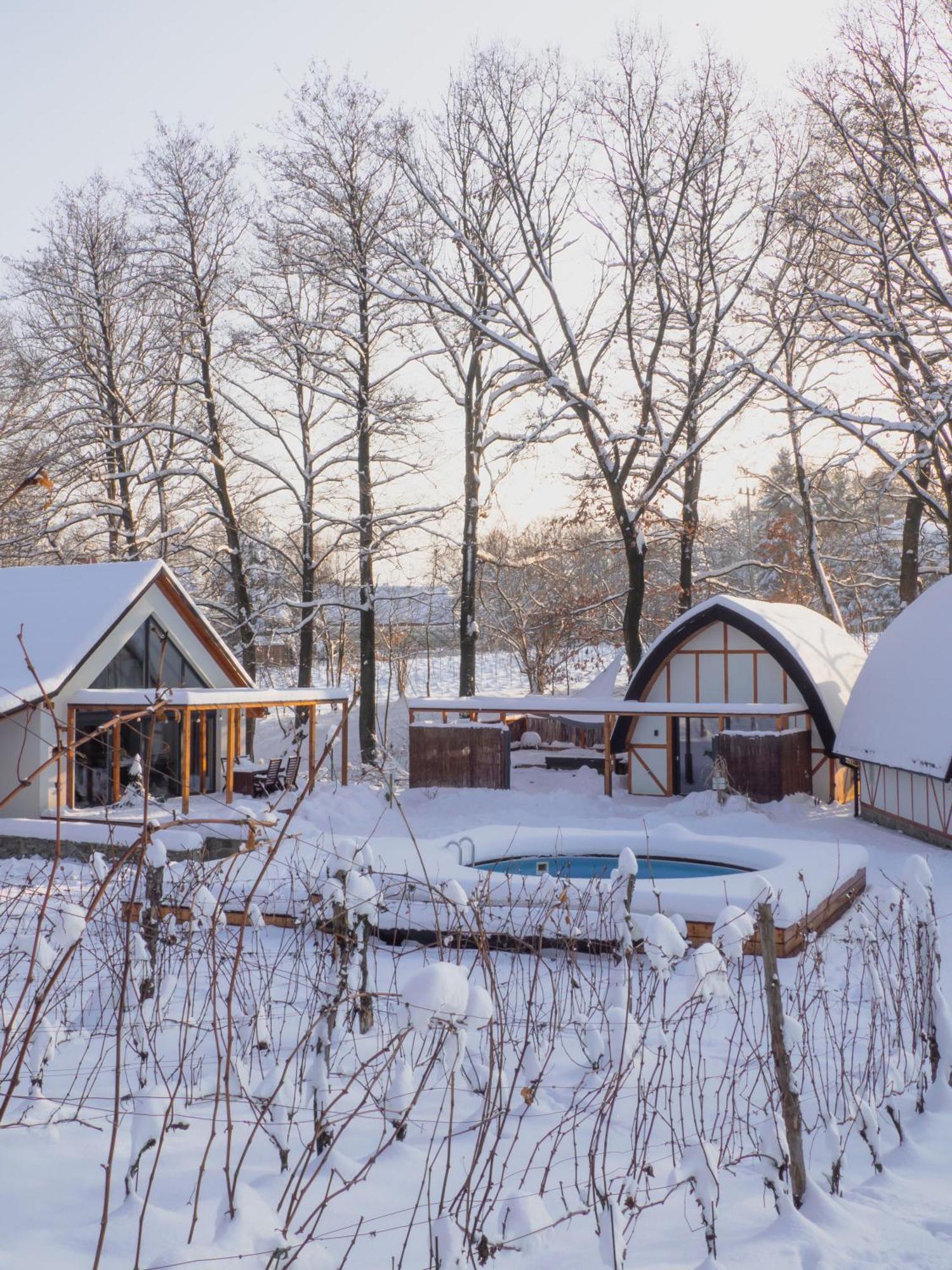 Sen I Wino, Domki Na Winnicy Ze Strefa Spa Żywiec Esterno foto